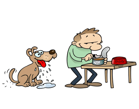 Dog Food Secrets What to feed dogs with allergies