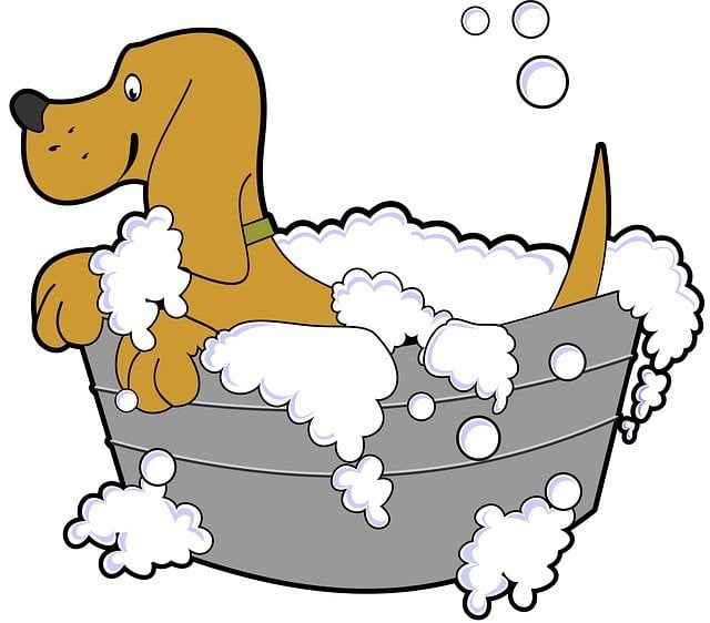 Portable Dog Bath Tub