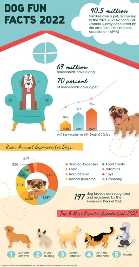 Popular Dog Breeds and Fun Facts