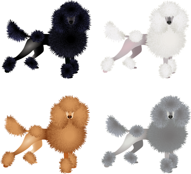 Gifts for Poodle Lovers