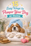 Pampering your dog at home - spa towel