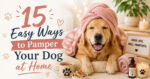 Pampering your dog at home - spa towel